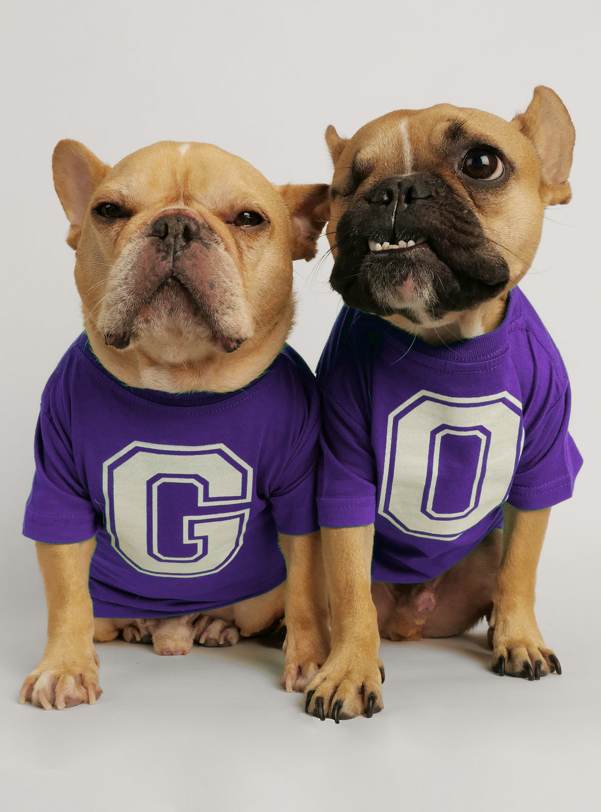 G-O Team (2-Pack) Dog Tee