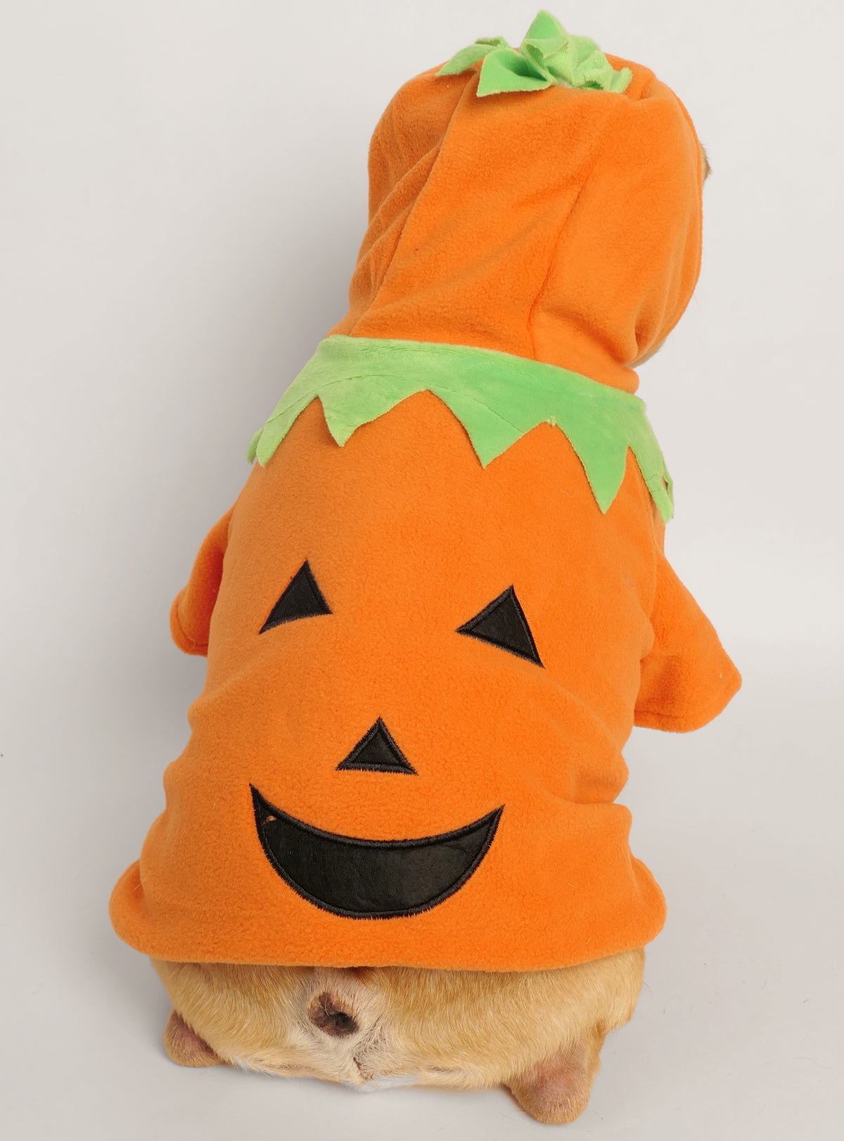 The Jack-O-Lantern Hoodie