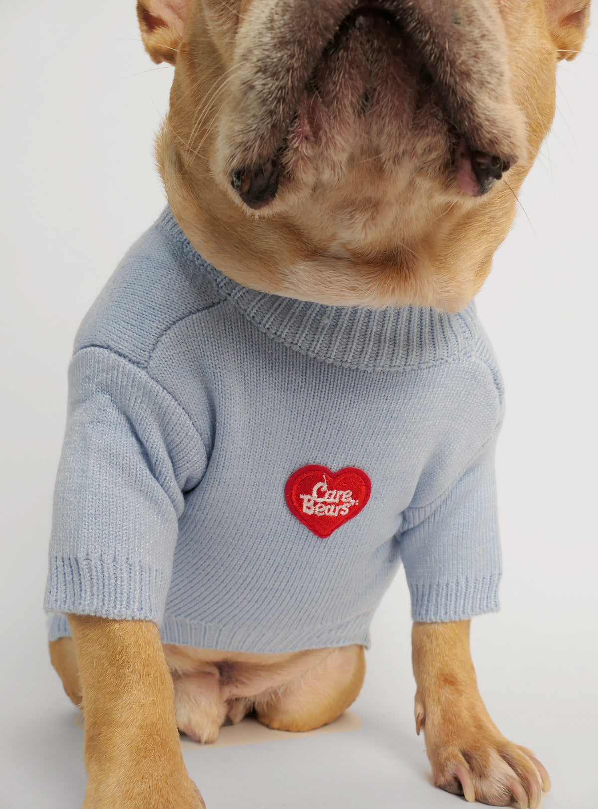The Grumpy Bear Dog Sweater