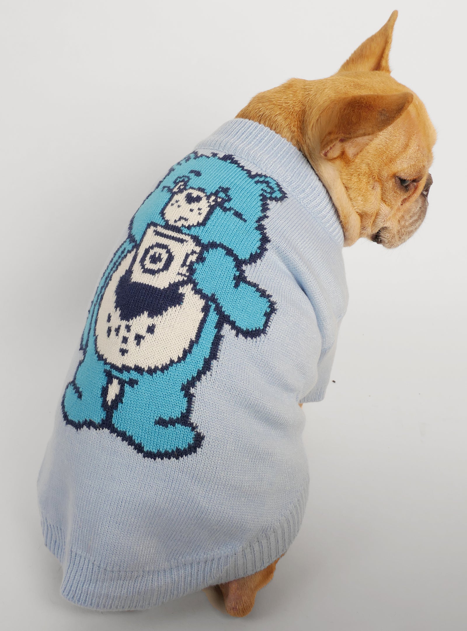 Louie Louie Dog Sweater - Club Huey