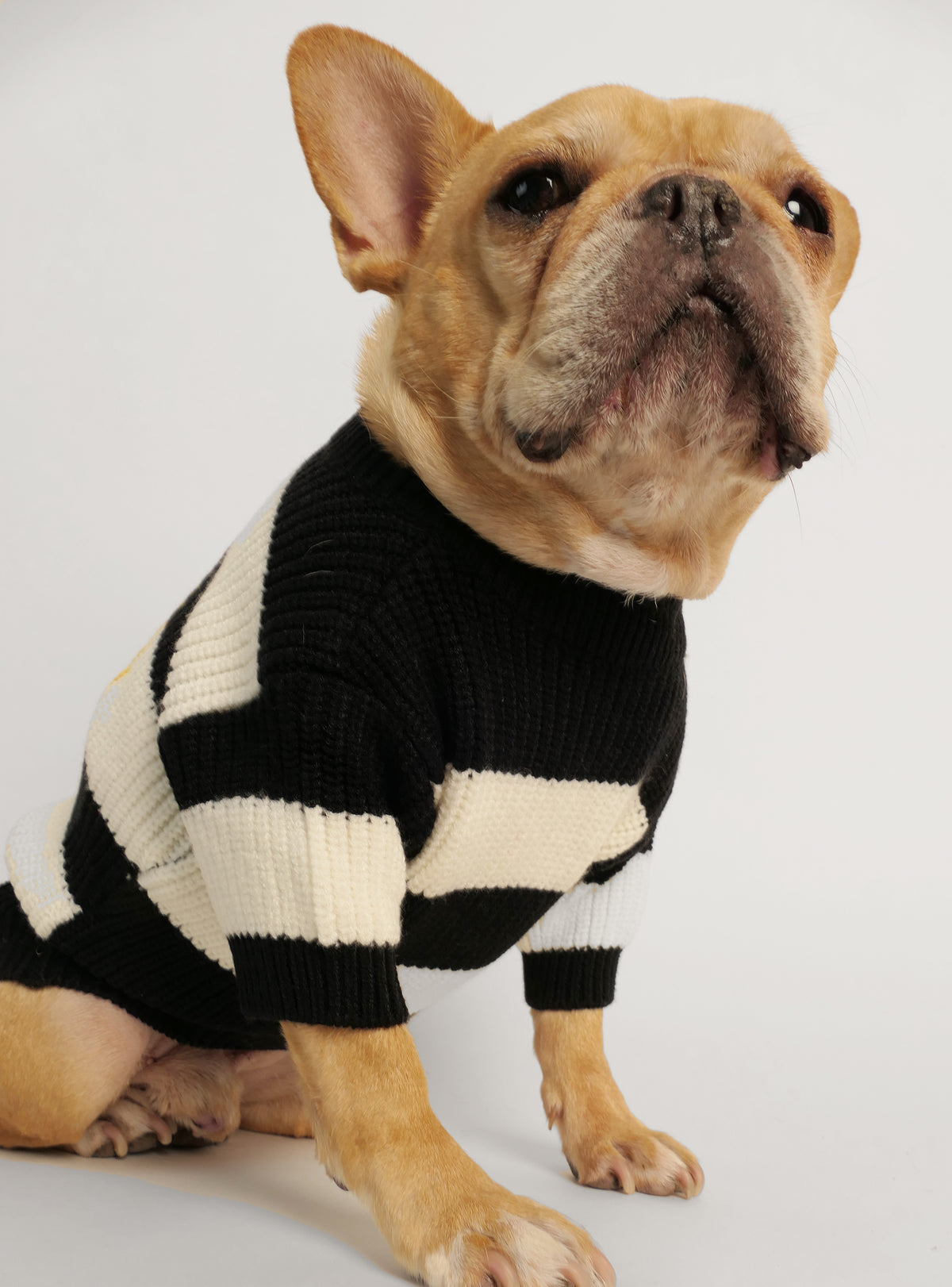 The 90&#39;s Kid Dog Sweater