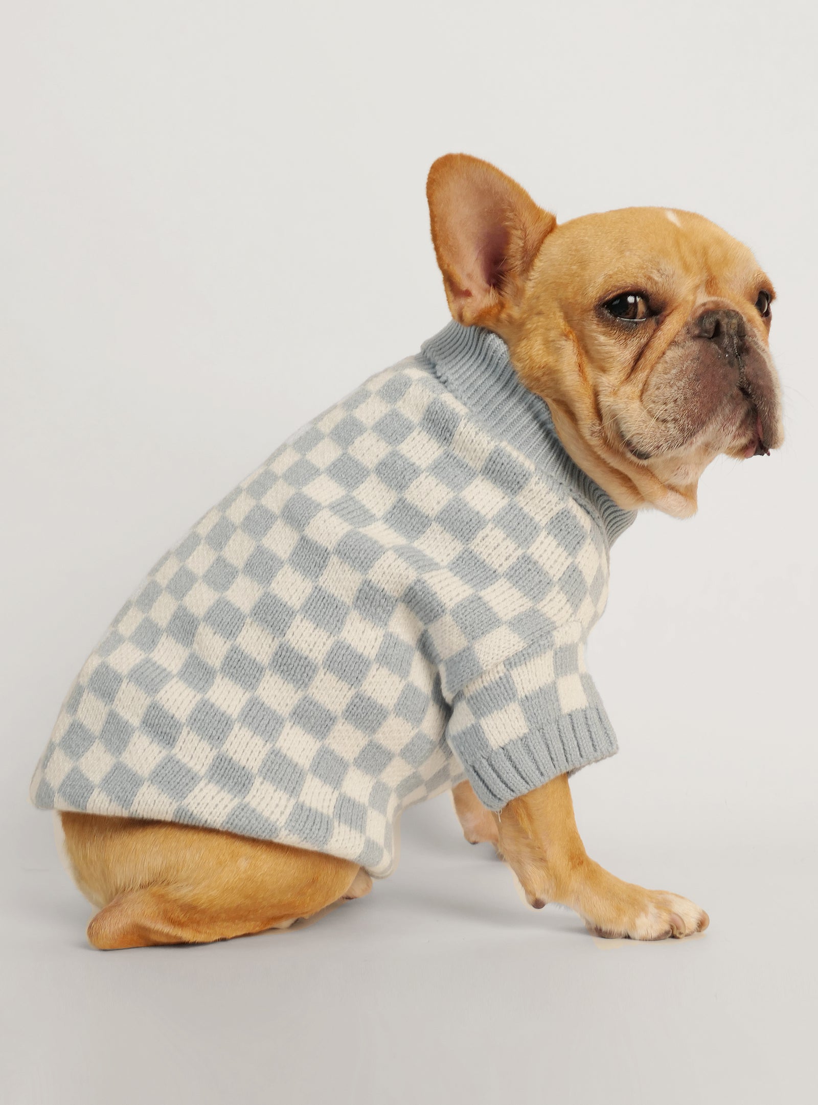 Geez Louis Tee/sweatshirt – Le Posh Pooch