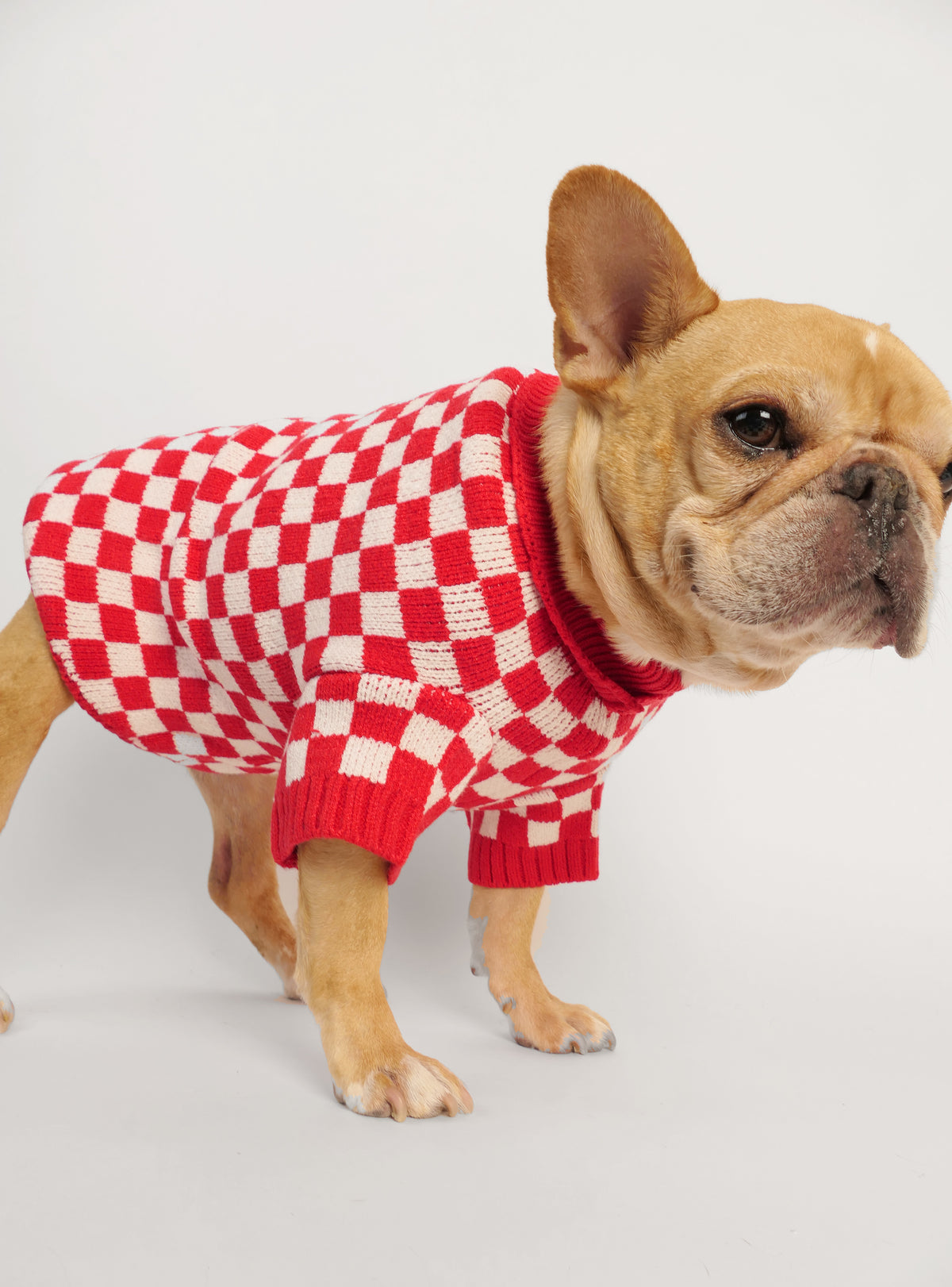 The Checkerboard Dog Sweater