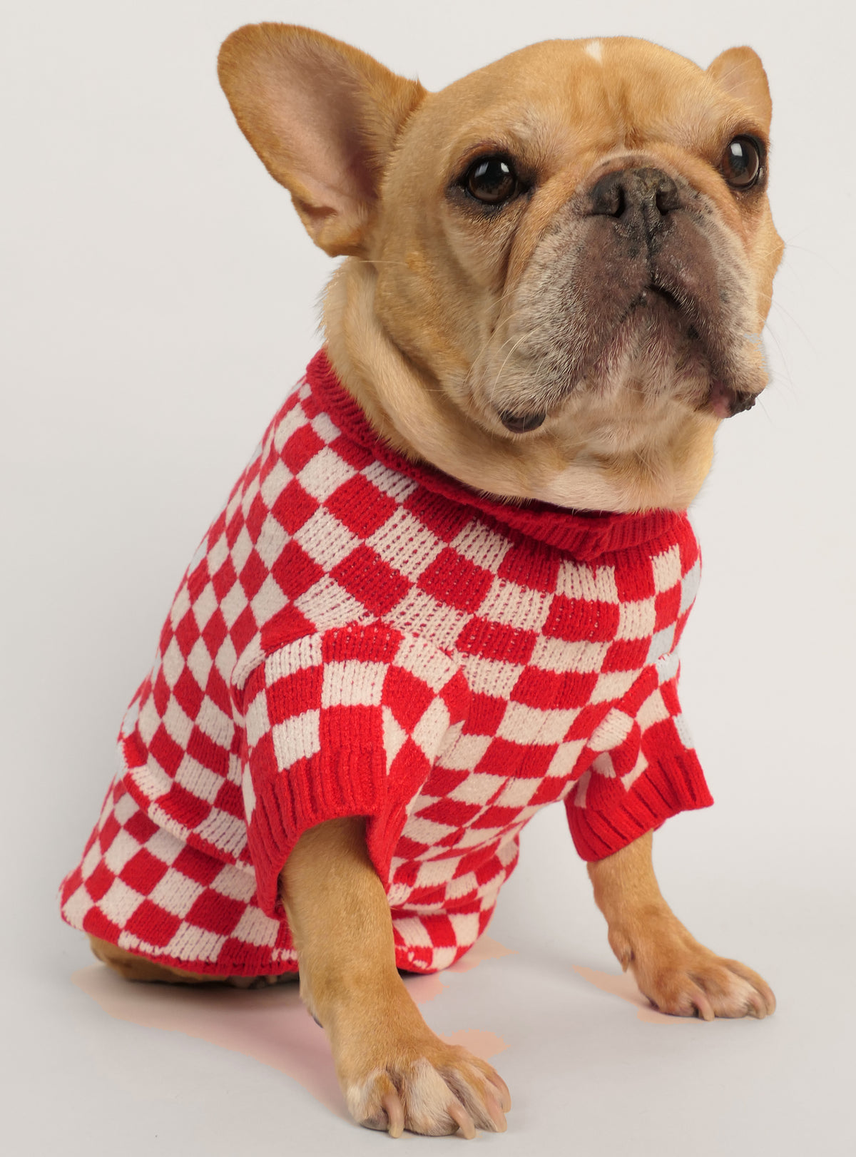 The Checkerboard Dog Sweater
