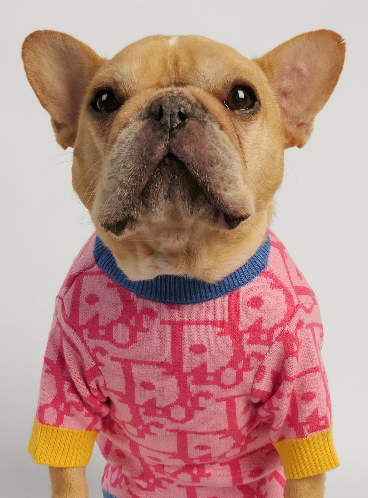 Diordinary Dog Sweater