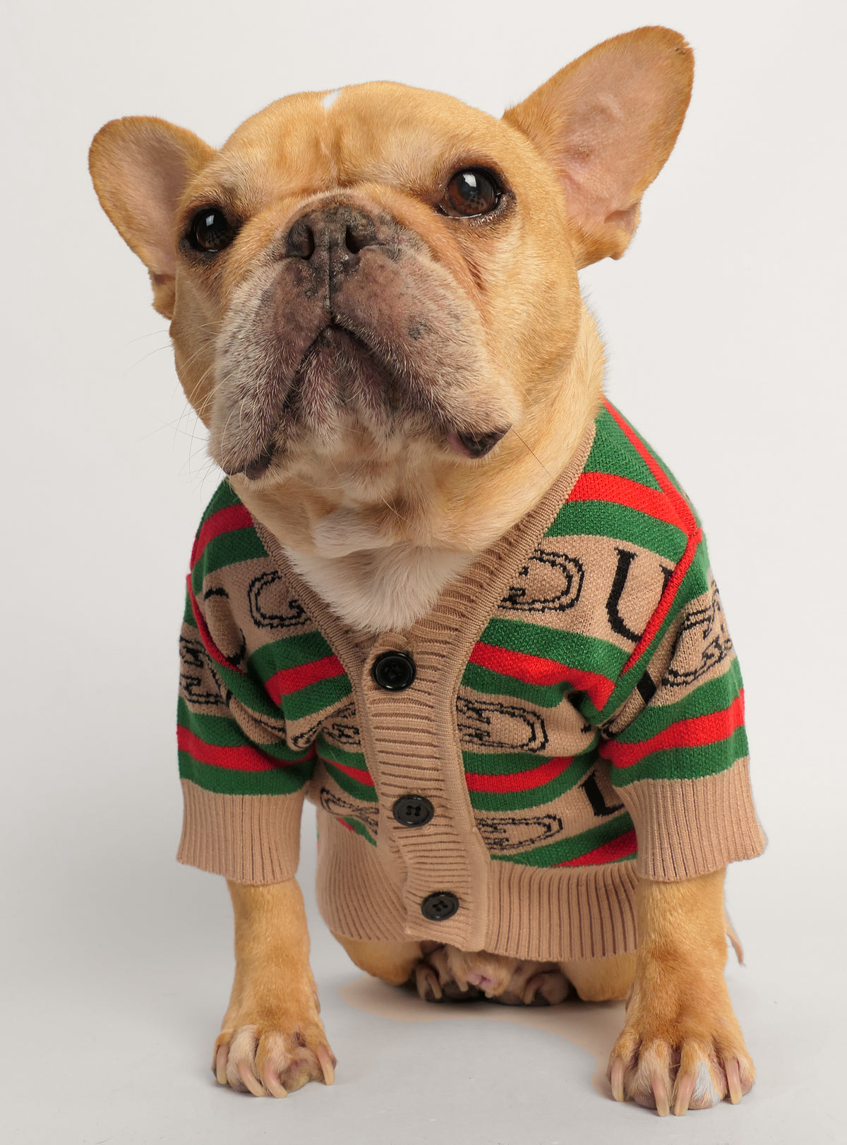 GG Dog Sweater
