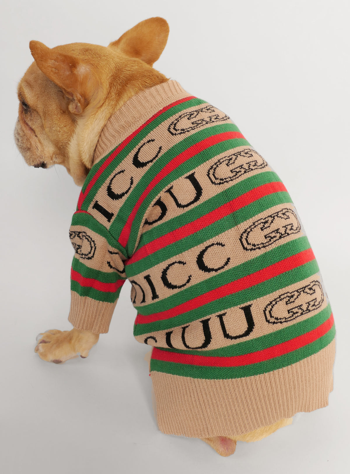 GG Dog Sweater