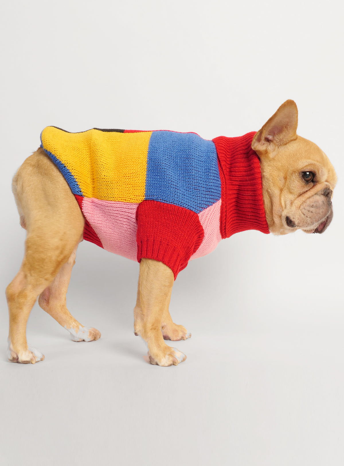 Joy Division Dog Sweater