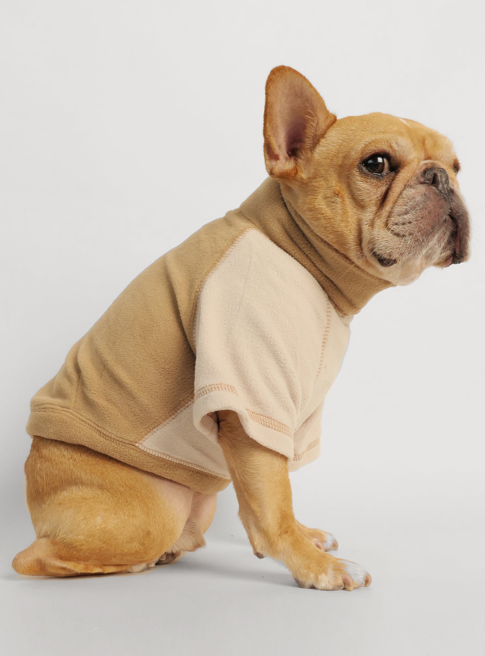 I'm Doing Frenchie Stuff Dog Tee - Club Huey