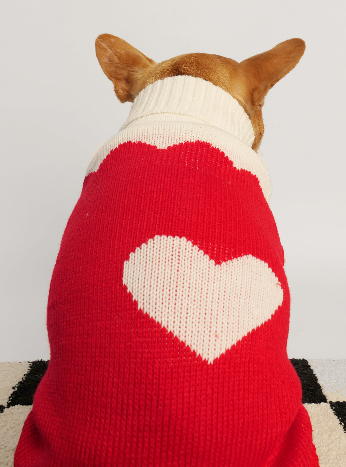 Heartbeat Dog Sweater