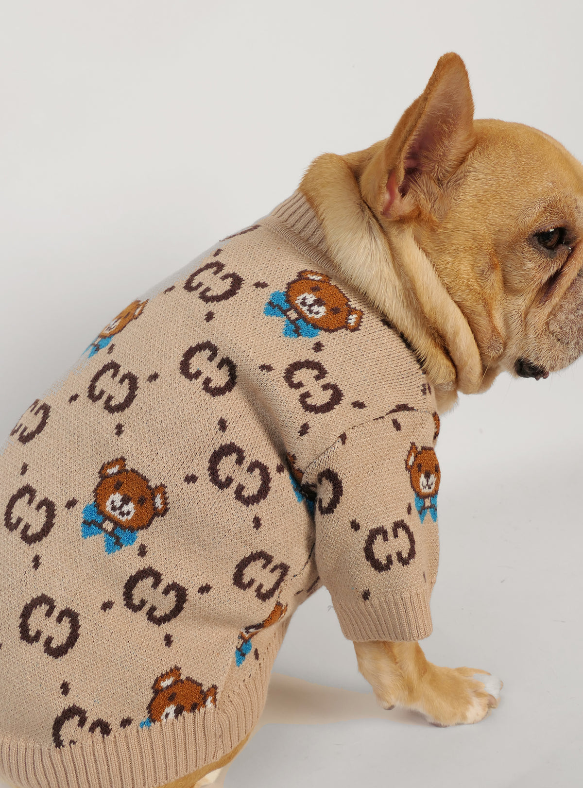 Bear Bliss Dog Sweater