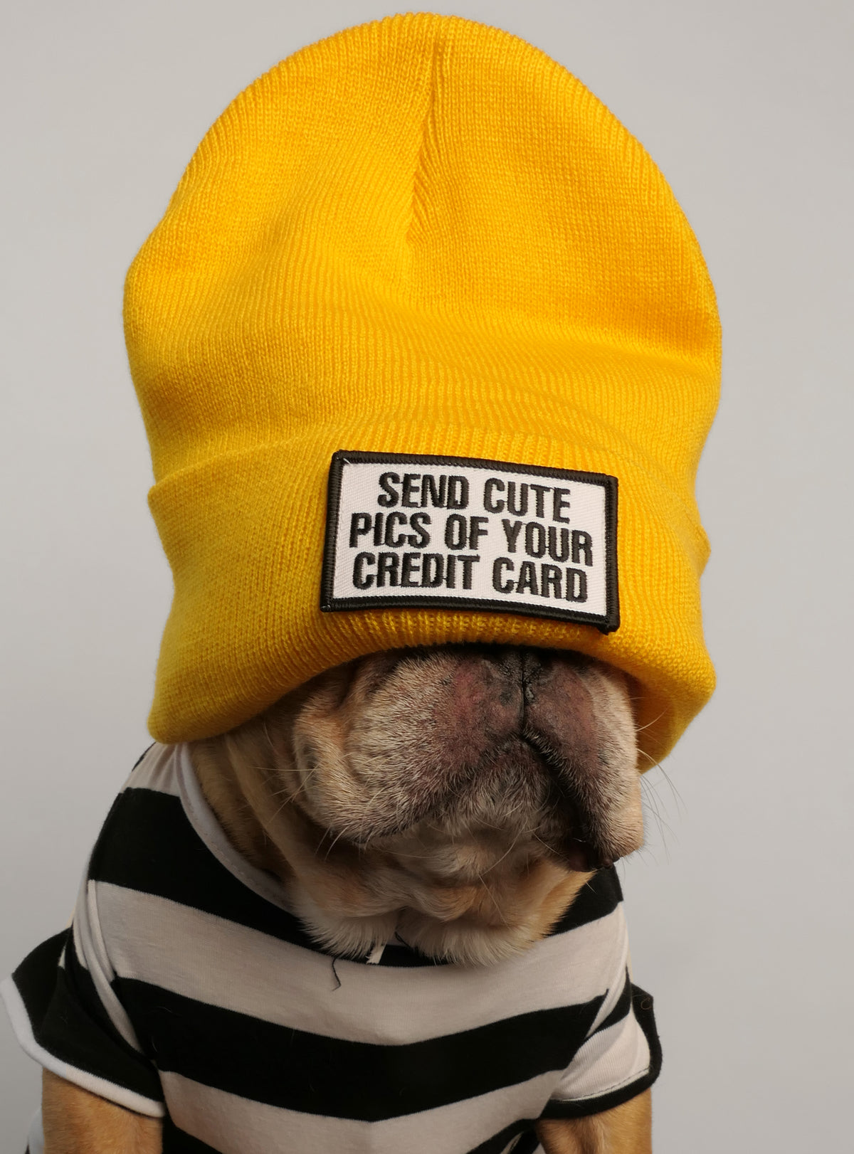 Send Cute Pics of Your Credit Card Beanie
