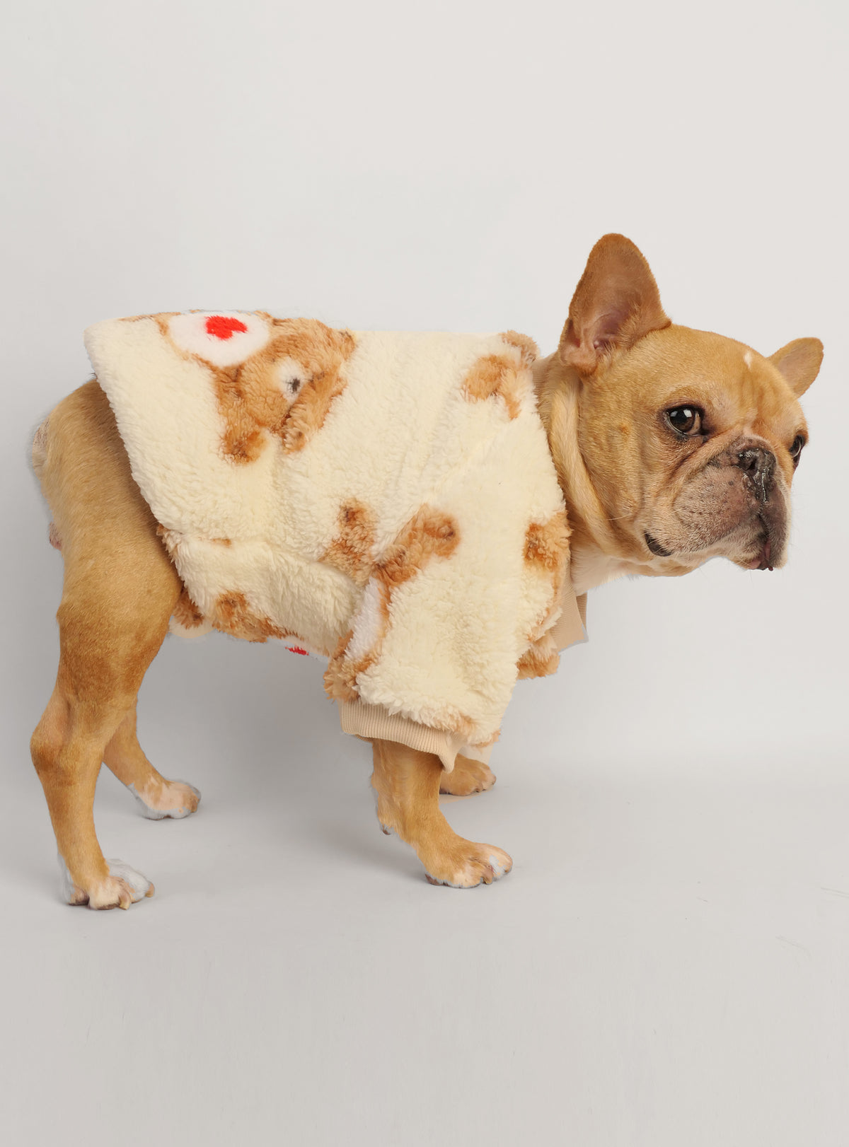 Care Bear Dog Sweater