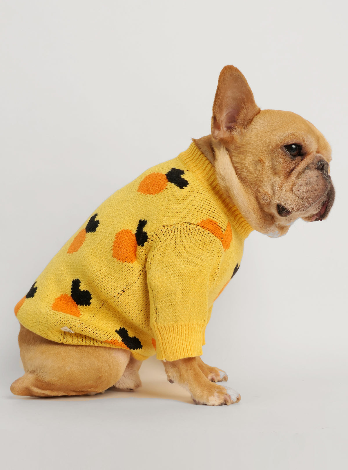 Carrot Top Dog Sweater