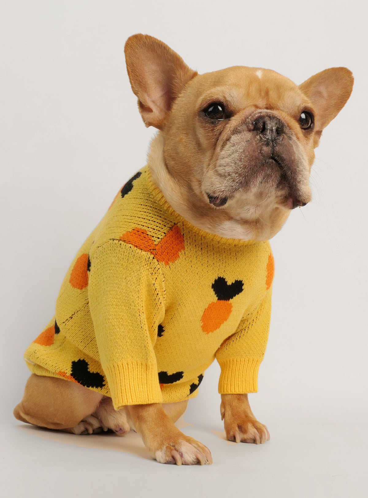 Carrot Top Dog Sweater