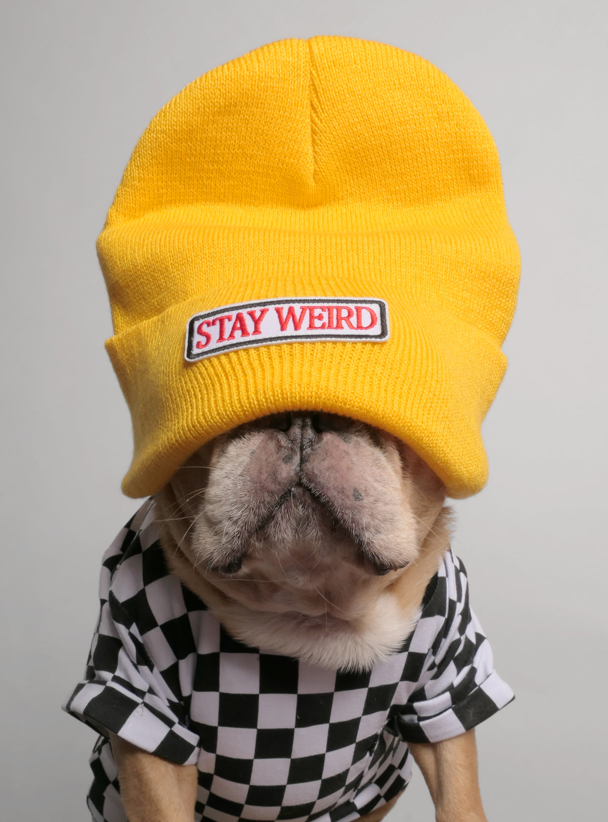 Stay Weird Beanie