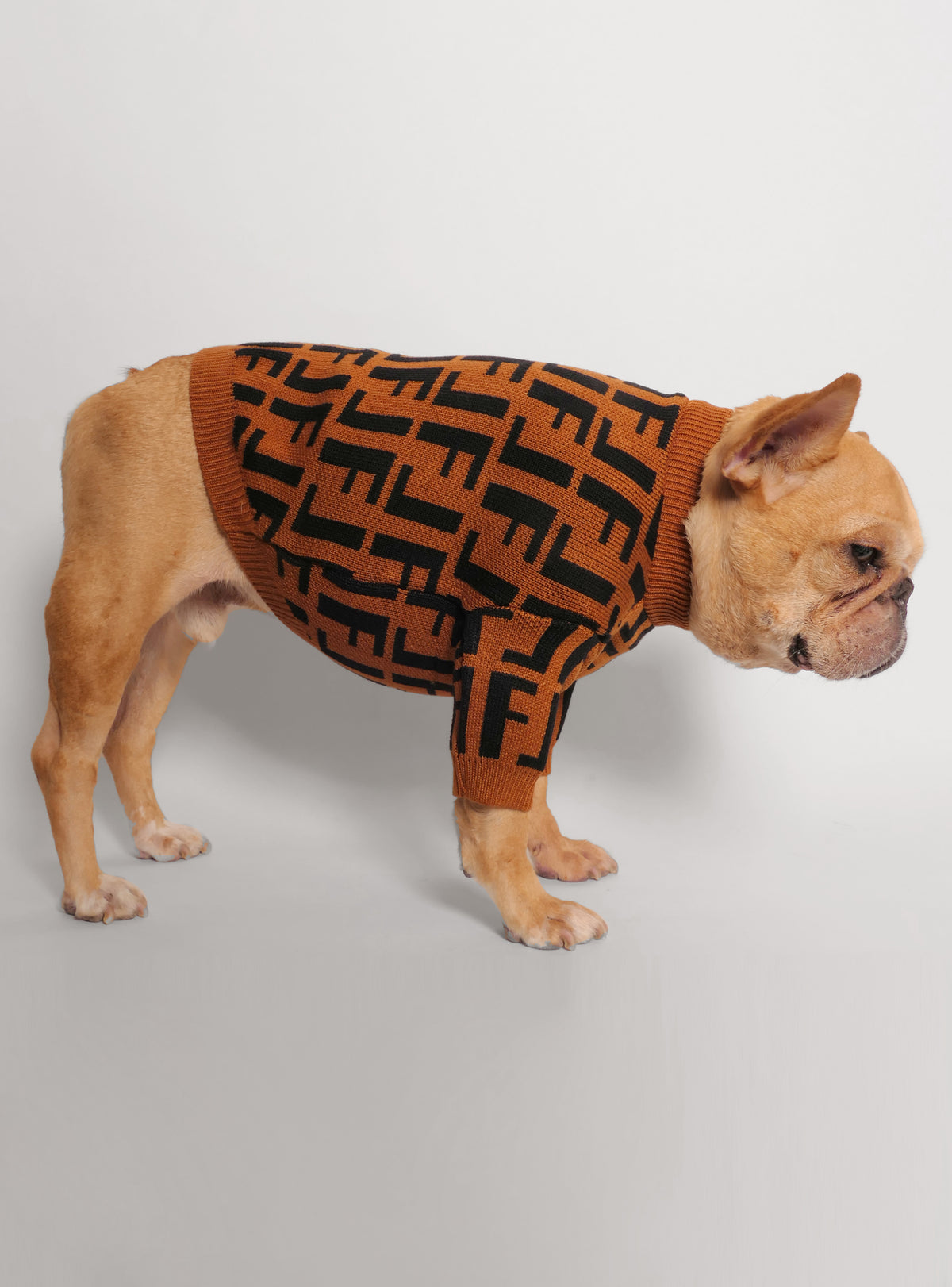 Fetch Dog Sweater