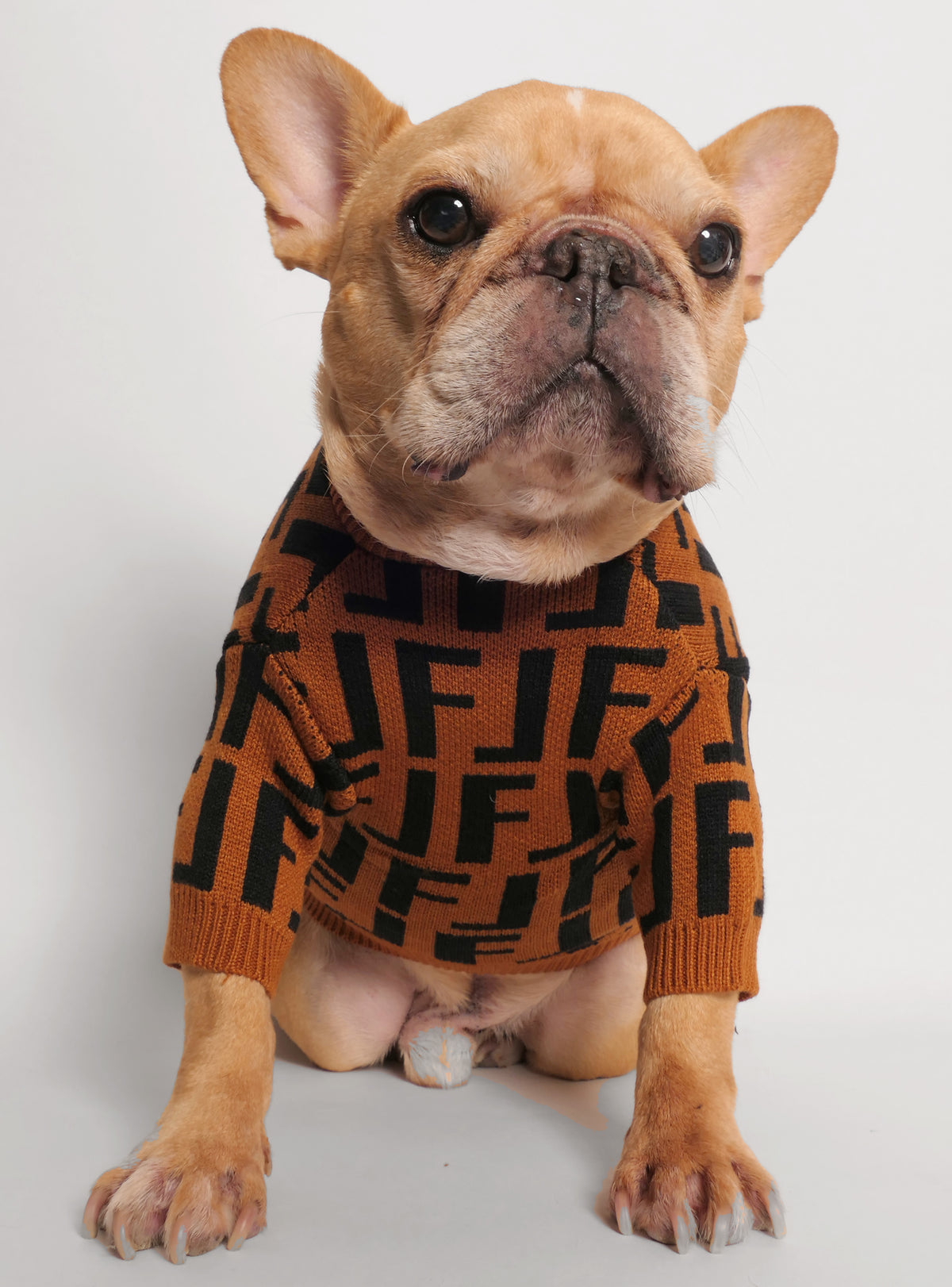 Fetch Dog Sweater