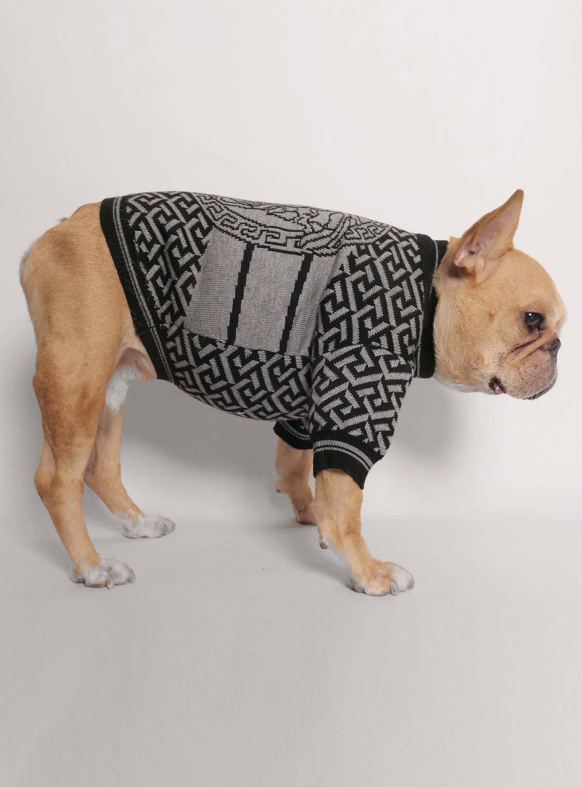 Vain Dog Sweater