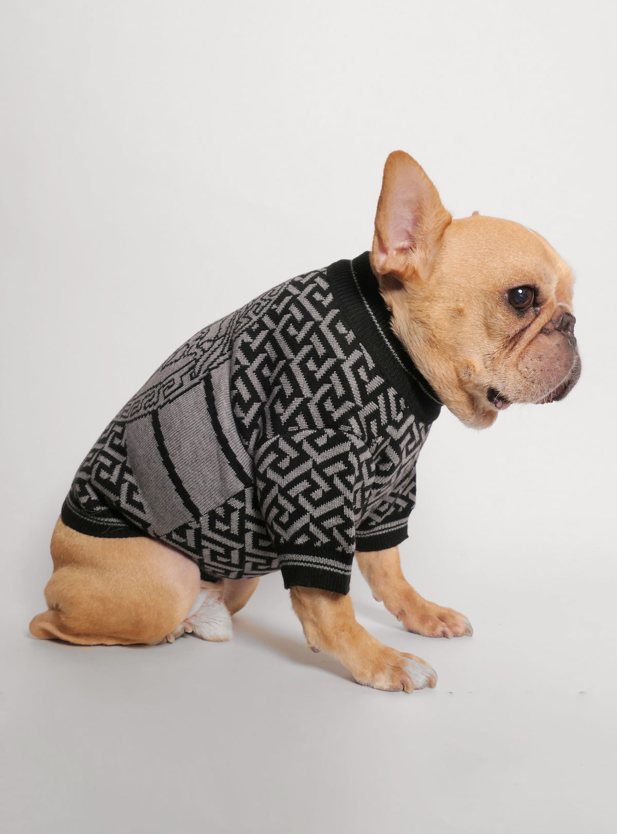 Vain Dog Sweater