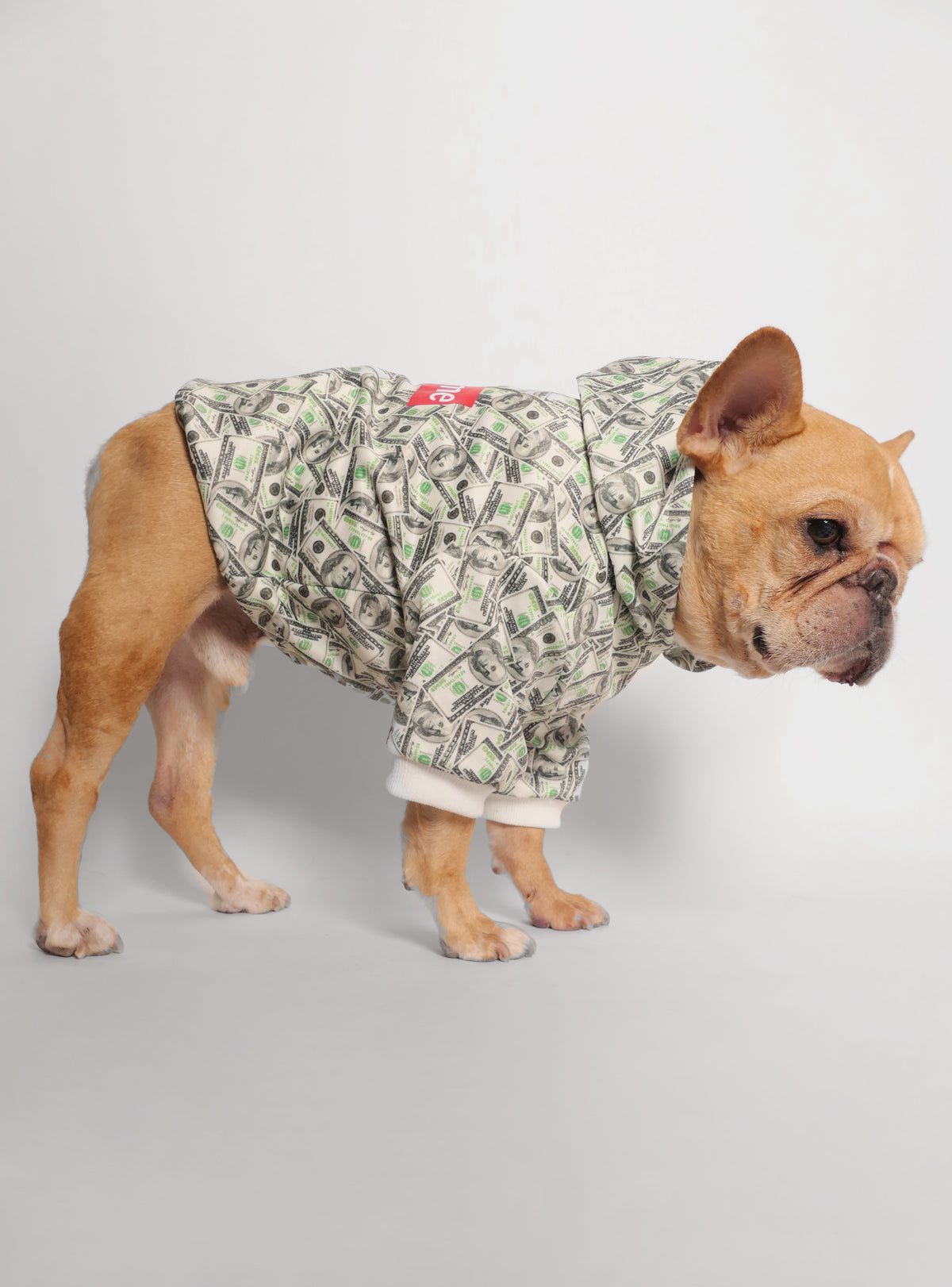 Pupreme Dog Hoodie