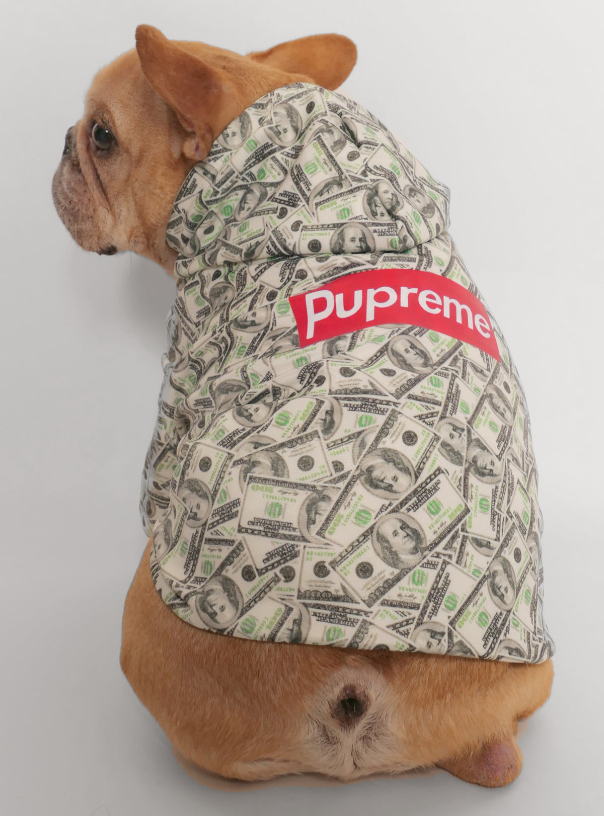 Pupreme Dog Hoodie