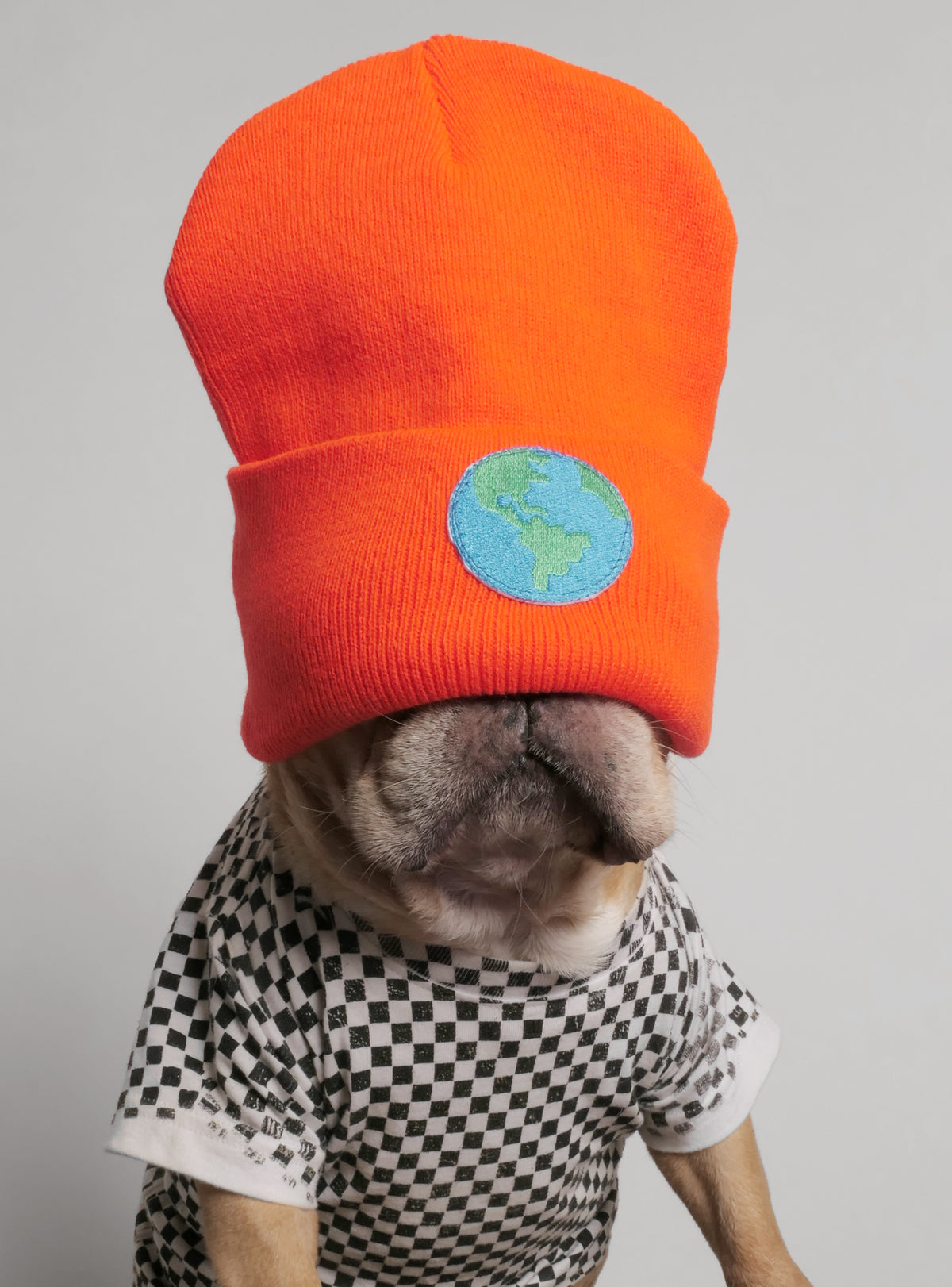 Earthling Beanie