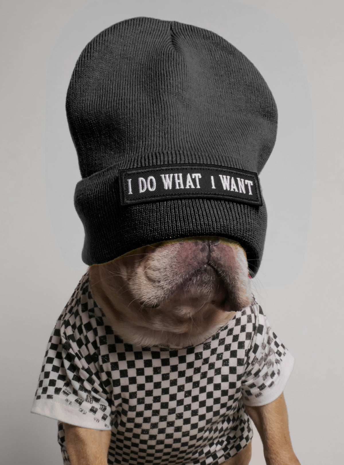 I Do What I Want Beanie