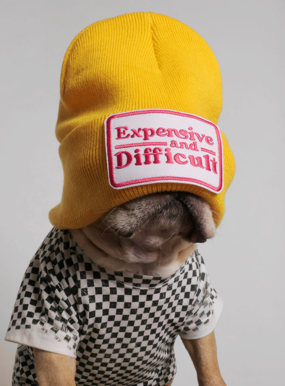 Expensive And Difficult Beanie