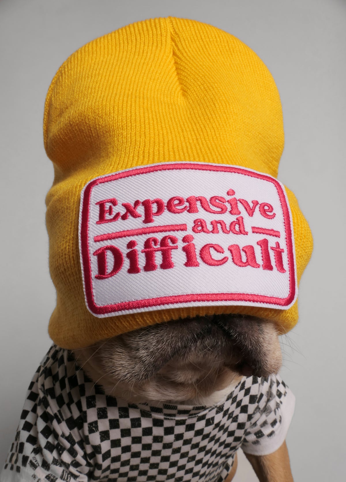 Expensive And Difficult Beanie