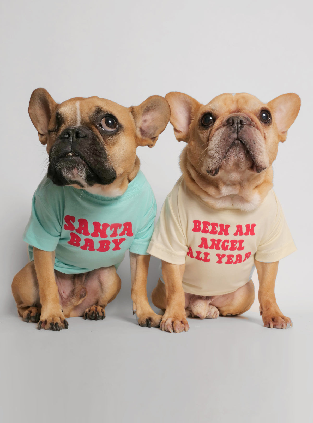 Santa Baby (2-Pack) Dog Tee