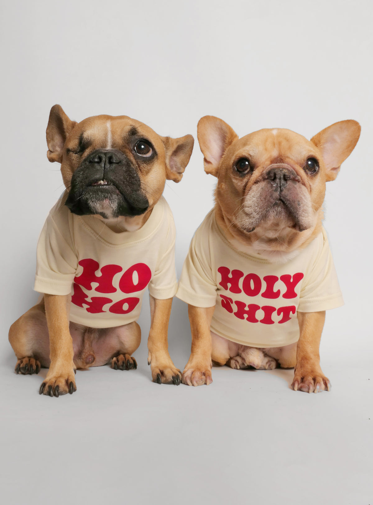 Ho Ho + Holy Sh*t (2-Pack) Dog Tee