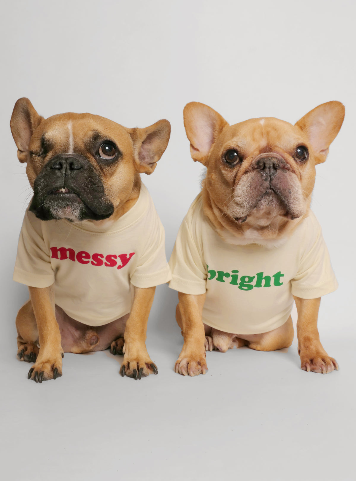 Messy + Bright (2-Pack) Dog Tee