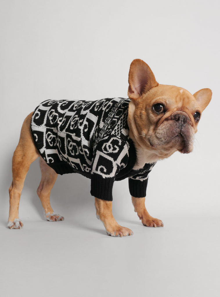 Diorama Dog Sweater - Club Huey