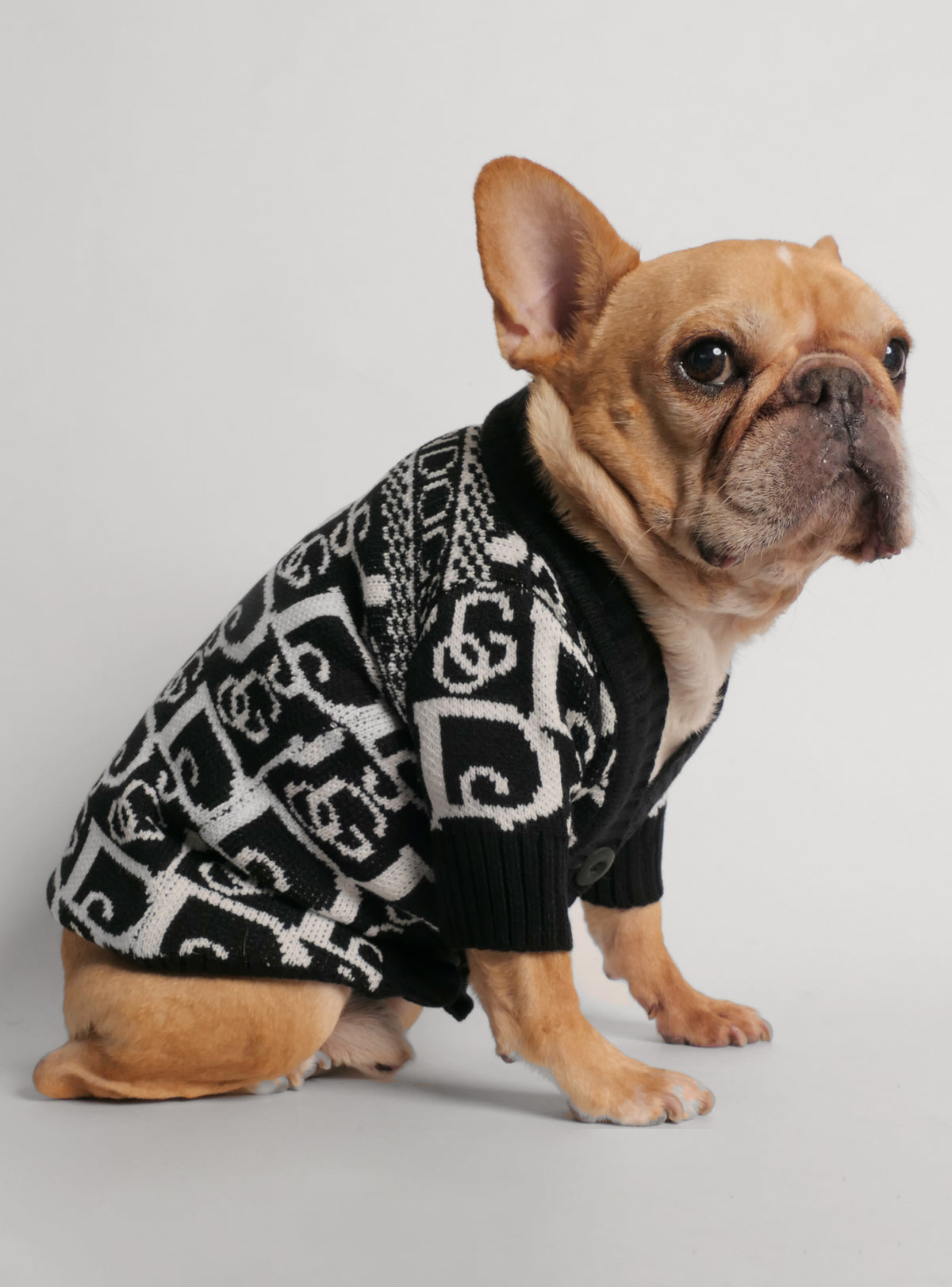 Diorama Dog Sweater