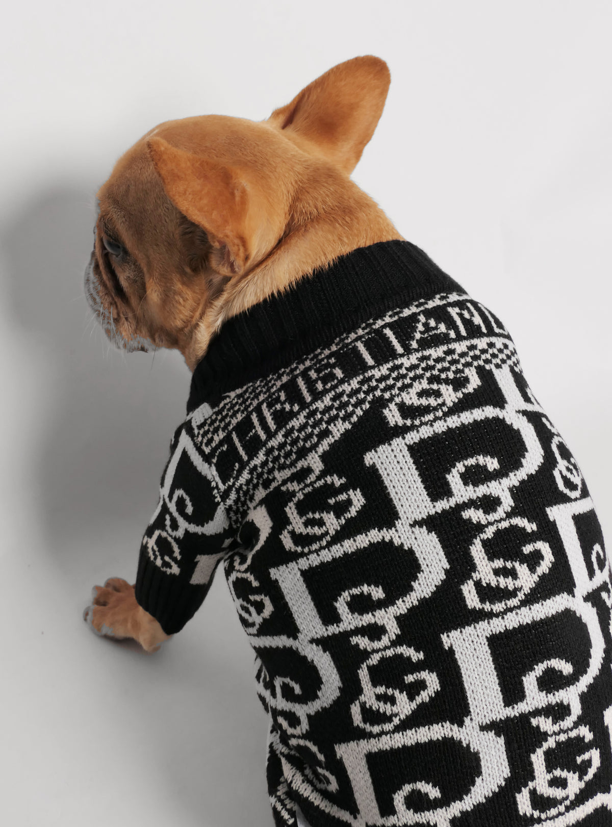 Diorama Dog Sweater