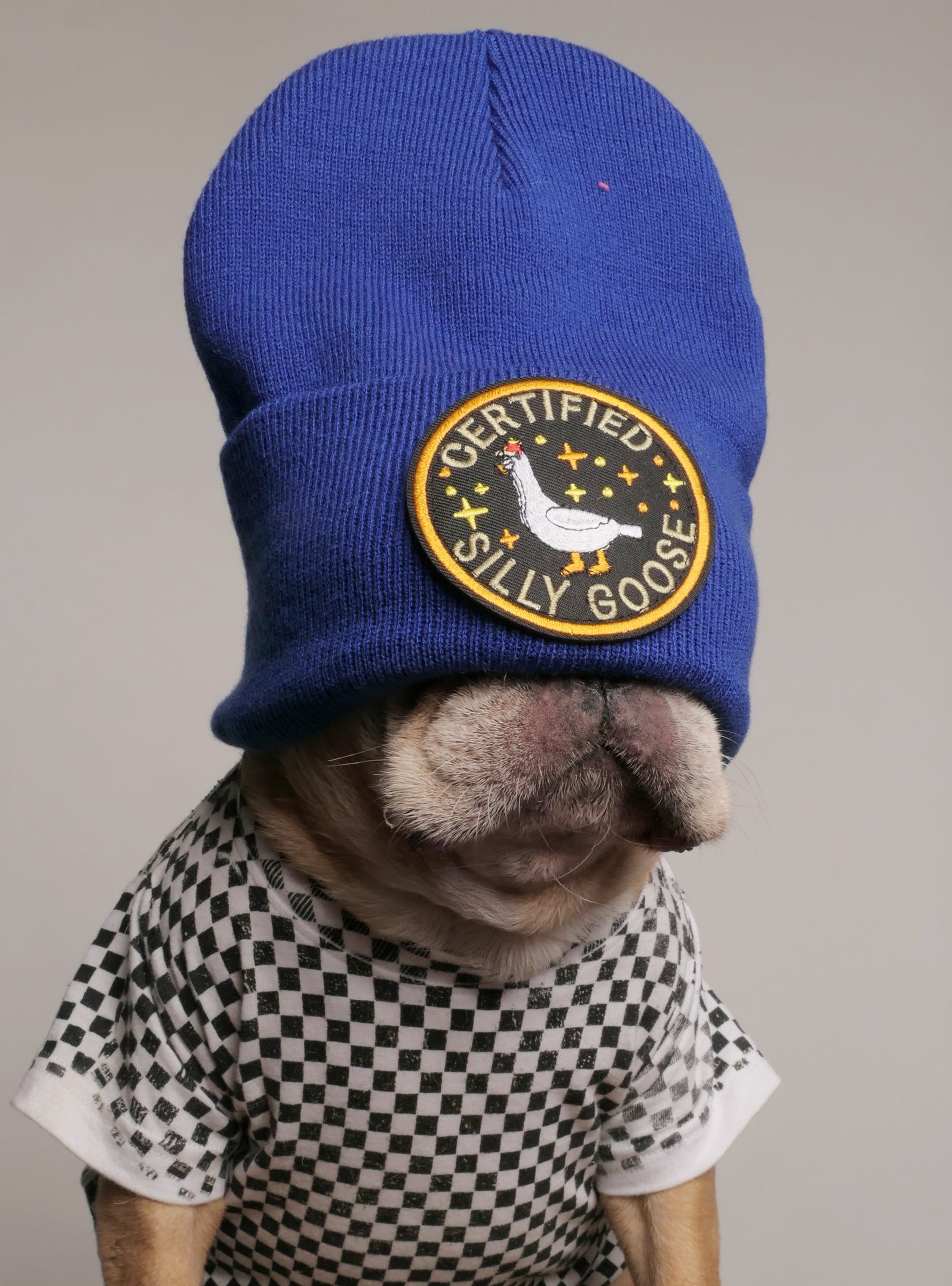 Certified Silly Goose Beanie - Club Huey Certified Silly Goose Beanie - Club Huey