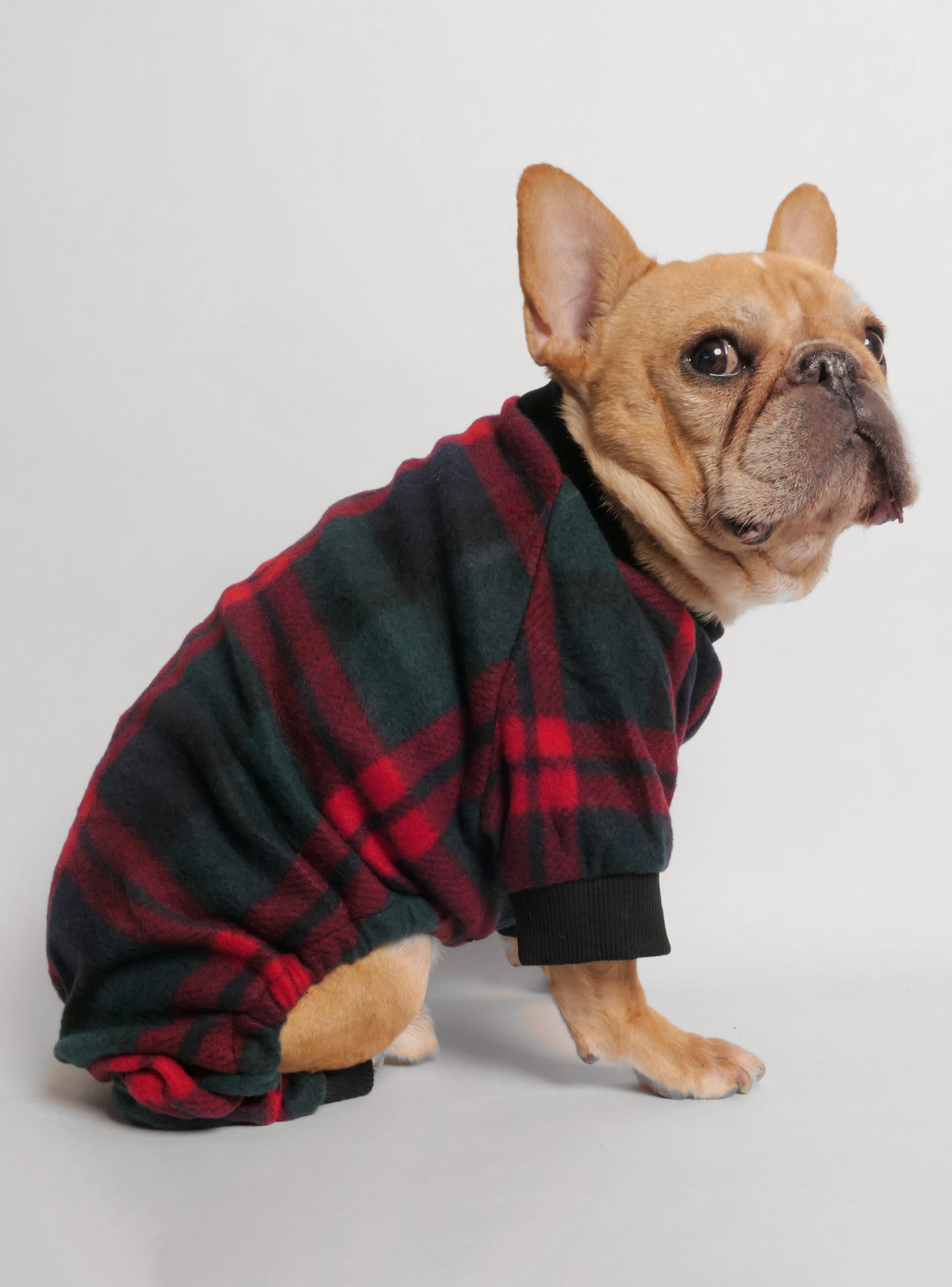 McCallister Dog Pajama Jumpsuit