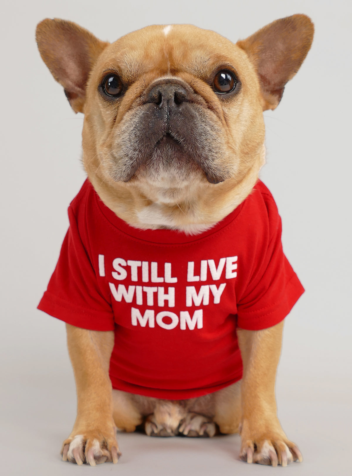 I Still Live With My Mom Dog Tee