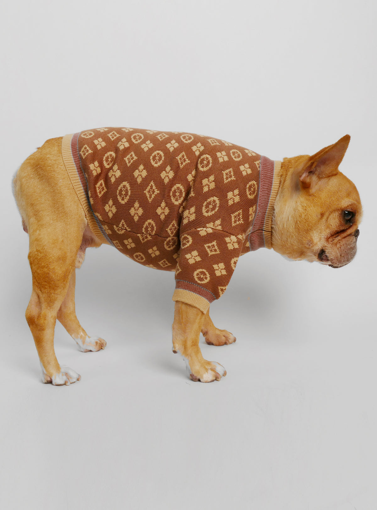 Louie Louie Dog Sweater