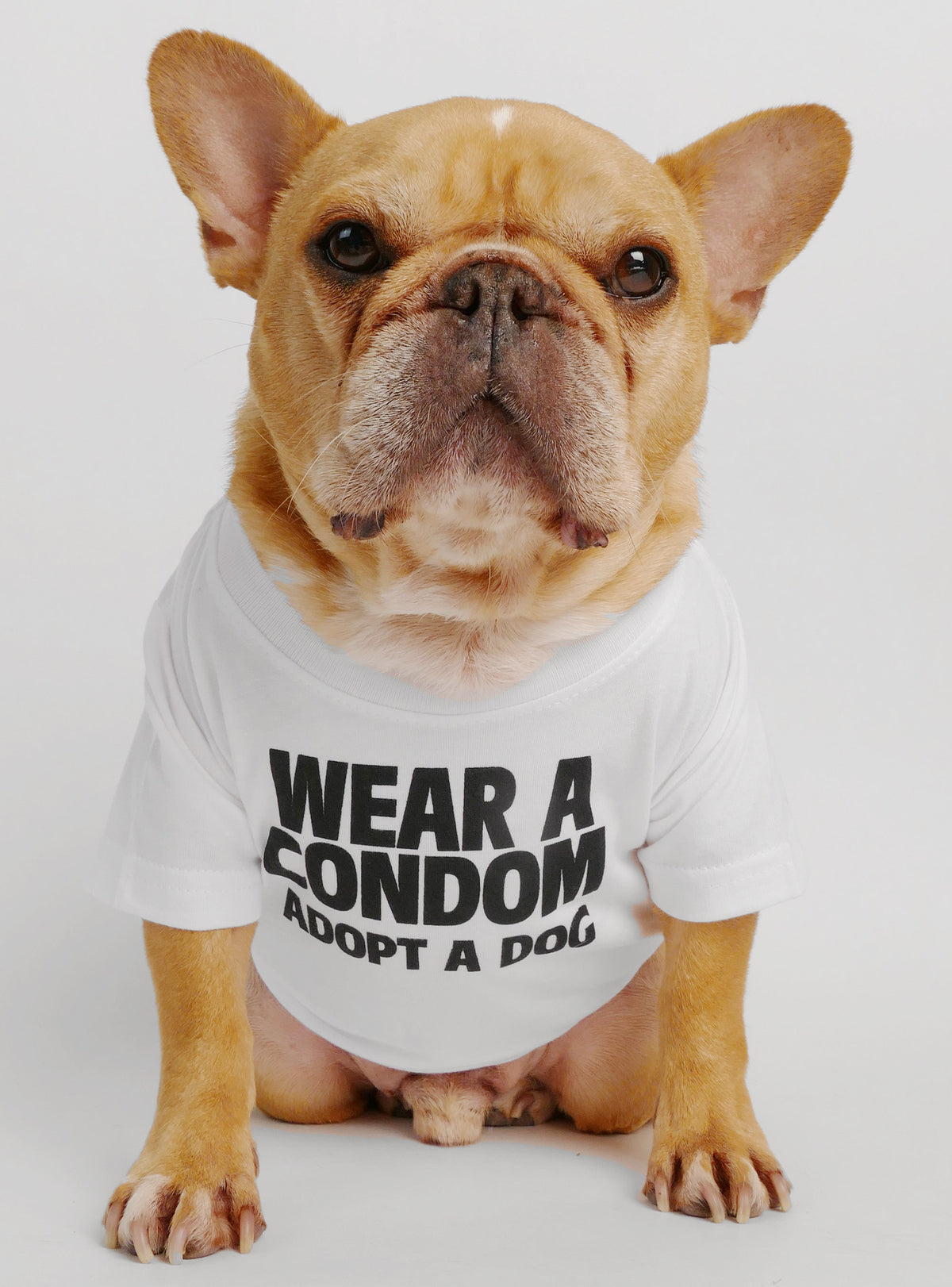 Wear A Condom Dog Tee