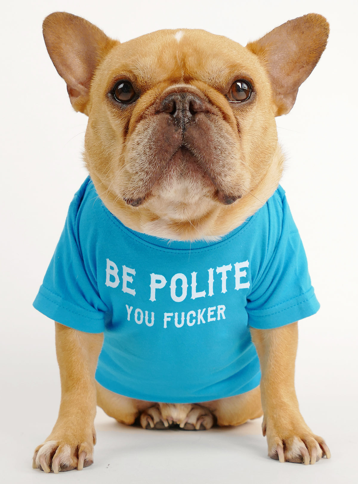 Be Polite Dog Tee