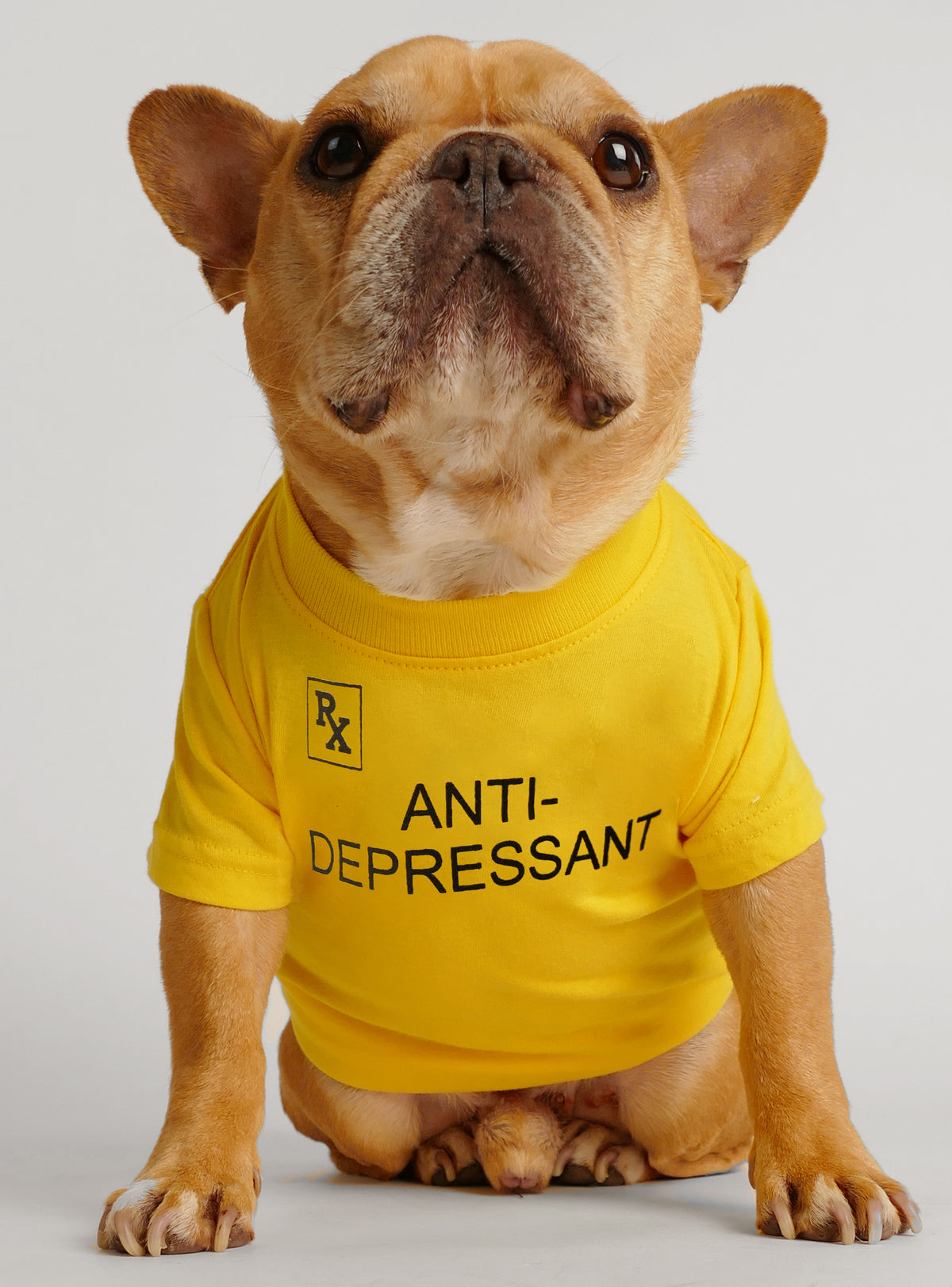 Antidepressant Dog Tee