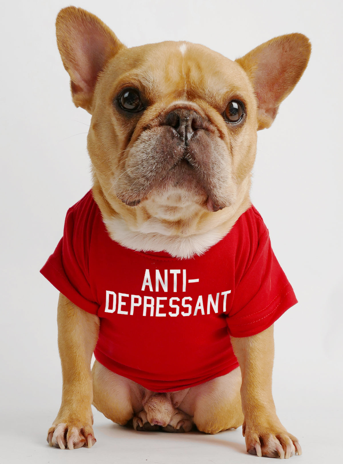 Anti-Depressant Dog Tee