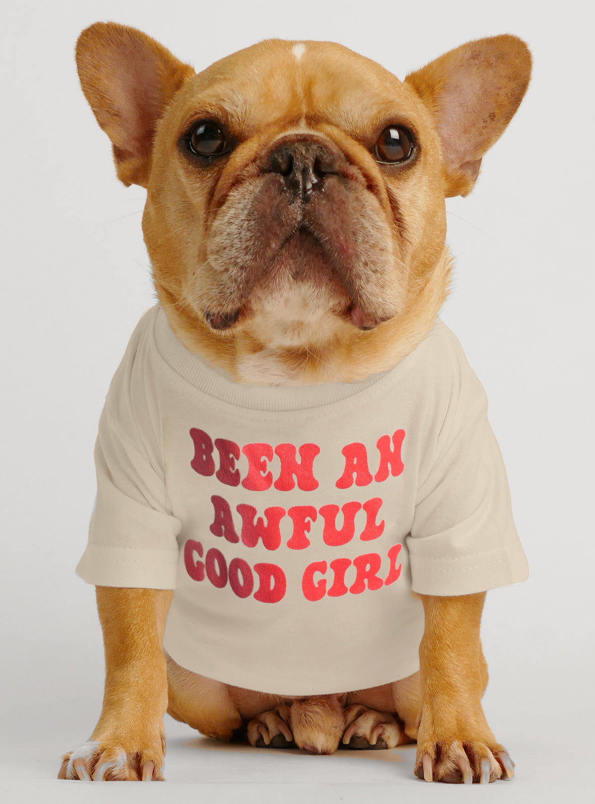 Been An Awful Good Girl Dog Tee