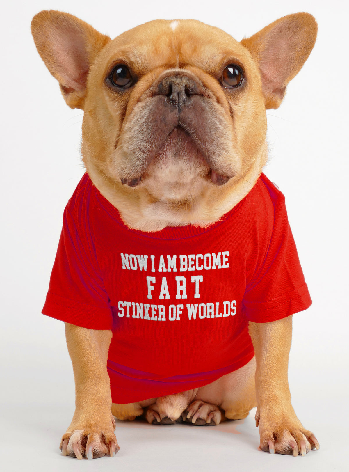 Now I Am Become Fart Dog Tee