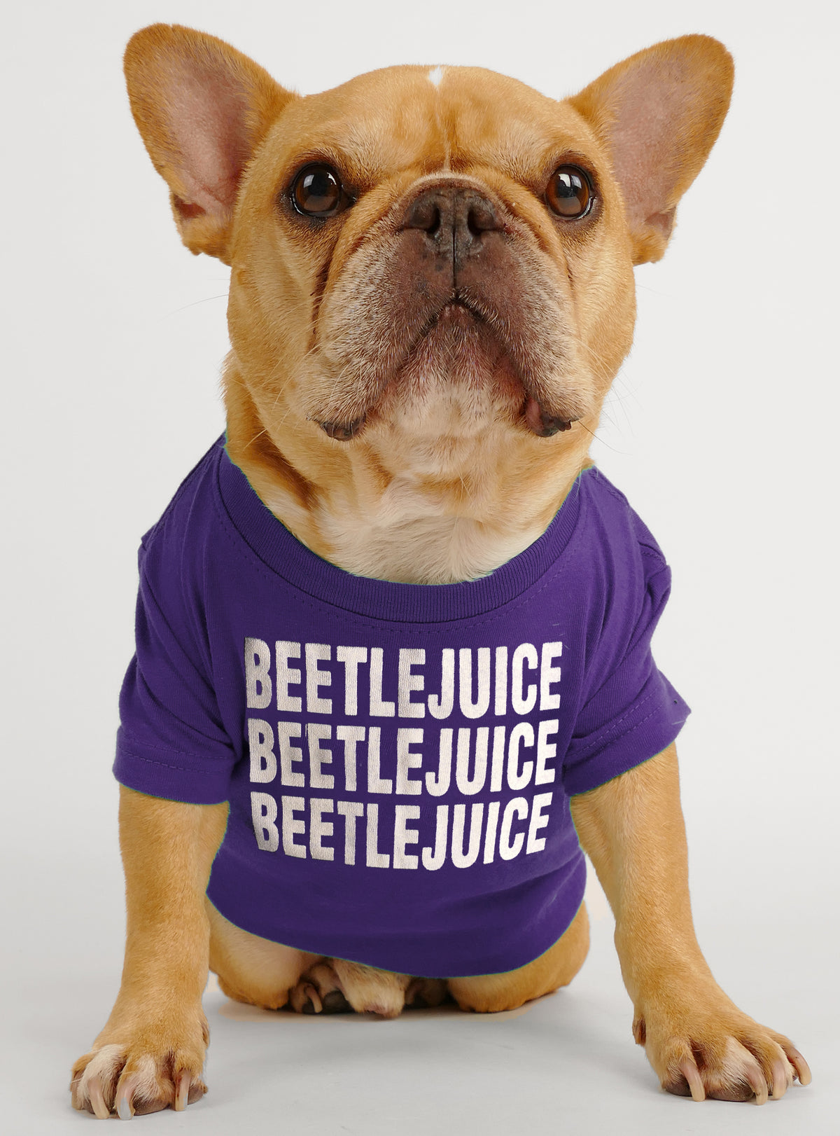 Beetlejuice Dog Tee