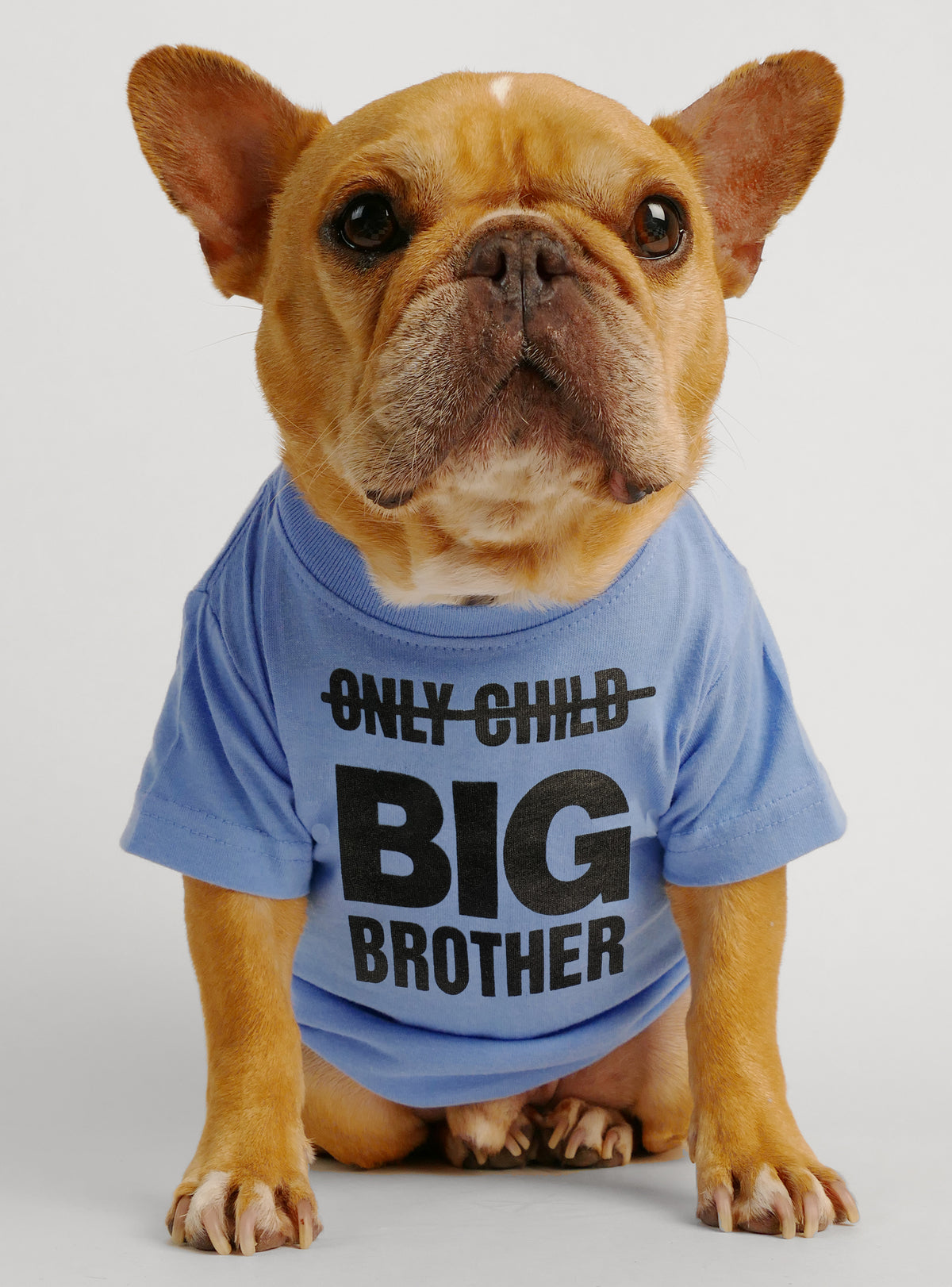 Big Brother Dog Tee