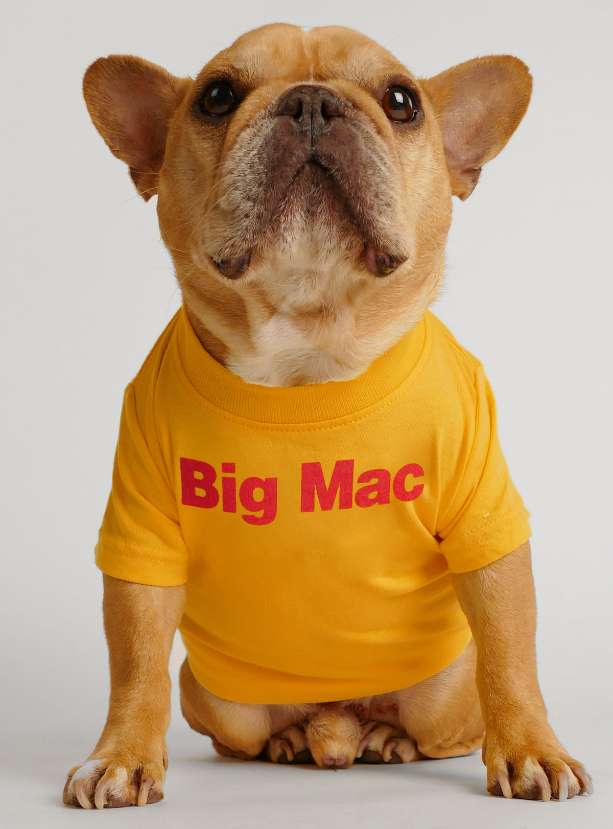 Big Mac Dog Tee