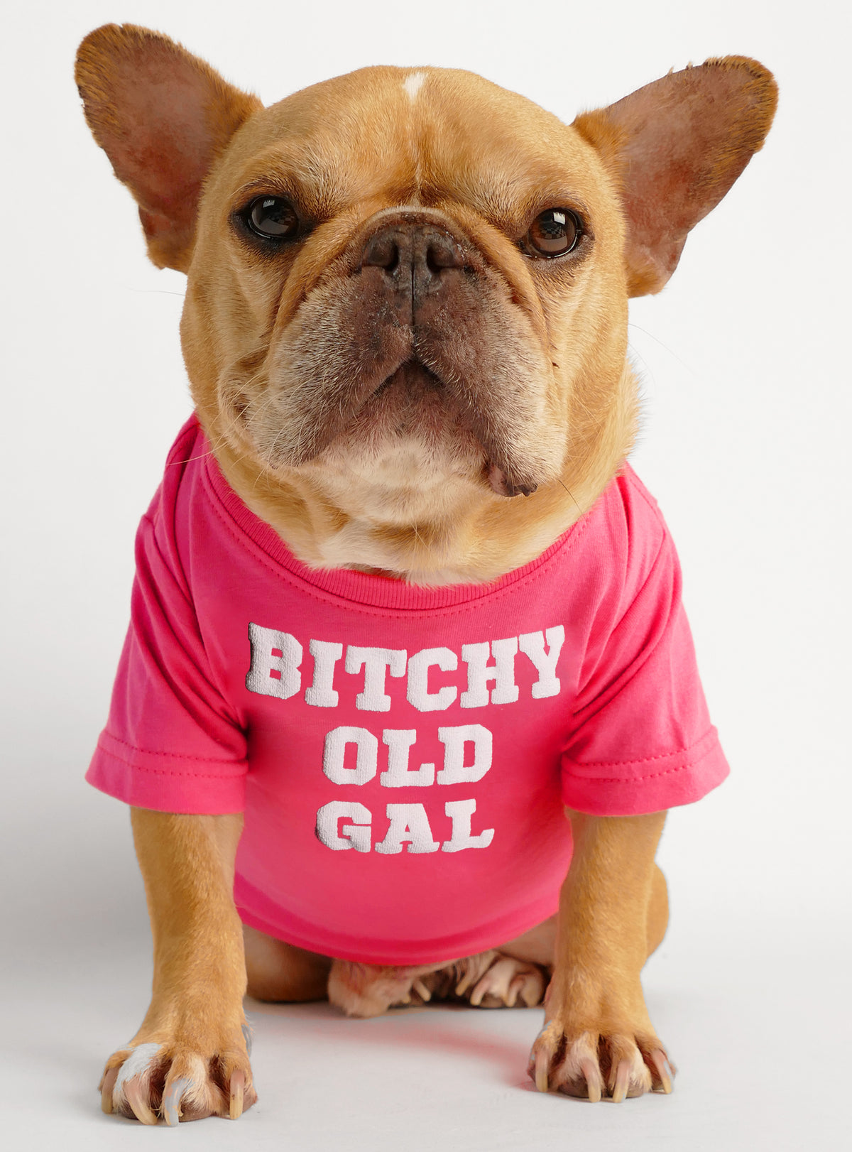 Bitchy Old Gal Dog Tee